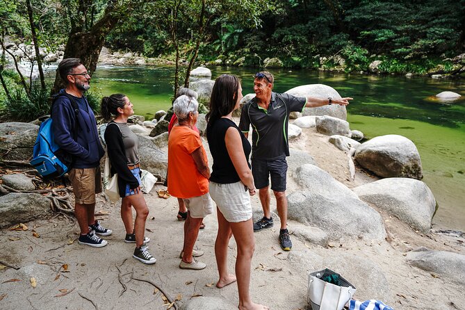 Cape Tribulation & Ziplining: Ultimate Daintree - Why a guided day can beat self-driving