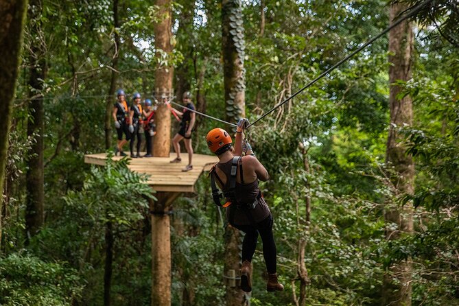 Cape Tribulation & Ziplining: Ultimate Daintree - Who will get the most from this tour