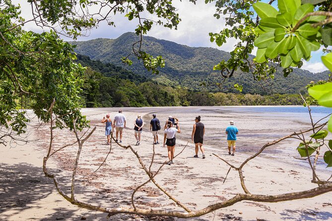 Cape Tribulation & Ziplining: Ultimate Daintree - Two hours above the rainforest canopy