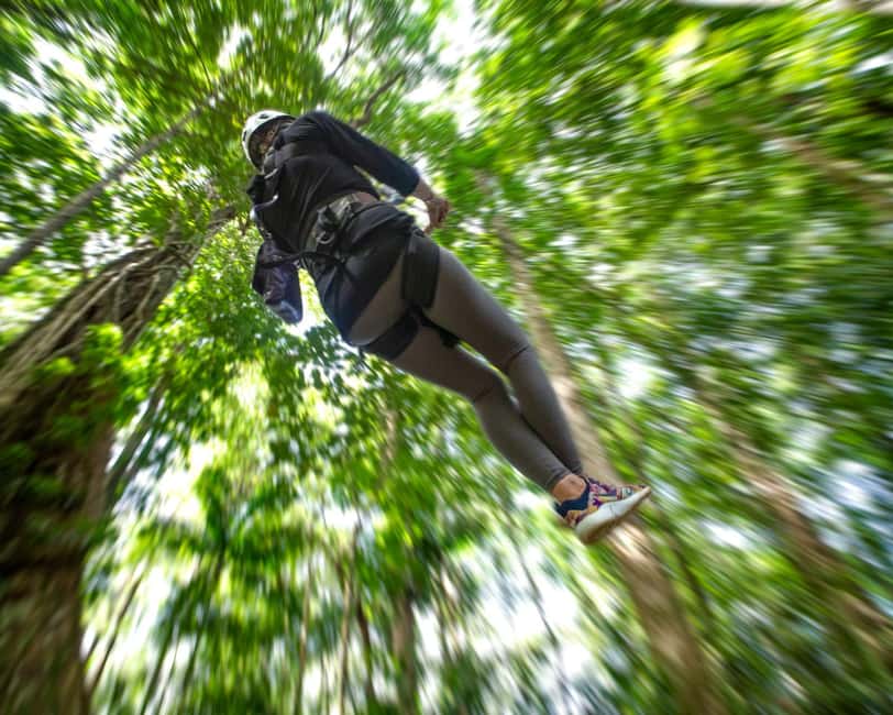 Castries, St. Lucia - Adrenaline Zipline - Eight flights, 16 platforms, and short forest walks