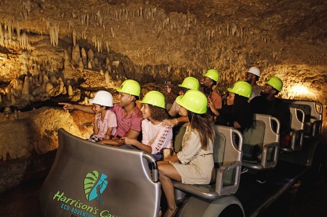 Cave & Monkey Zipline Experience at Harrison's Cave by Chukka - Key points to know before booking