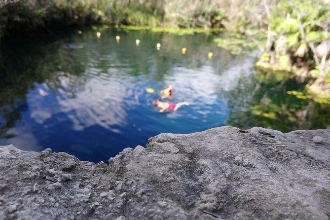 Cenote Tankah 4 Cenotes & Zip-Line Mayan Adventure - Who will enjoy this most