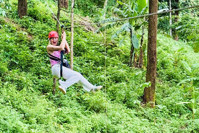 Chiang Mai 3 in 1 Zipline, Elephants and Sticky Waterfall - Meeting Rescued Elephants With Caretakers