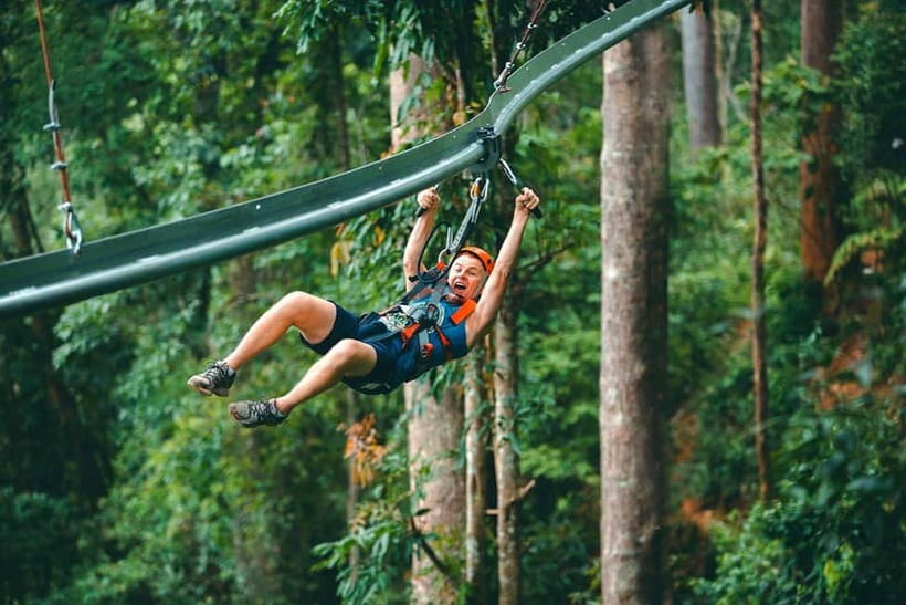 Chiang Mai: Jungle Flight Zip Line Roller Coaster - Key points to know before you go