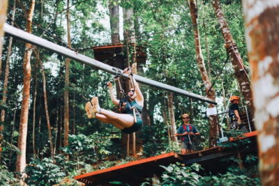 Jungle Flight Zip Line Roller Coaster