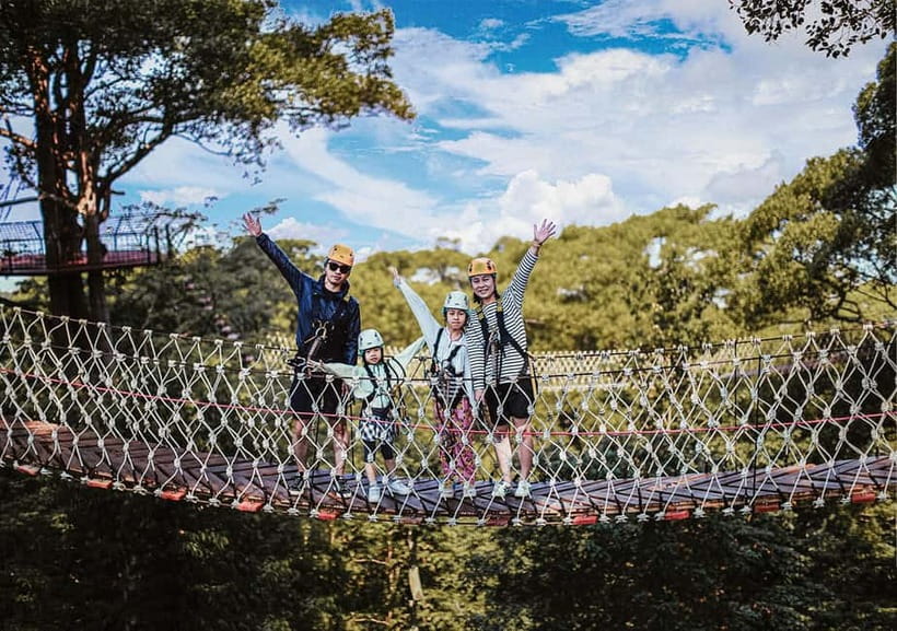 Chiang Mai: Jungle Flight Zip Line Roller Coaster - The 800-meter run and views through the trees