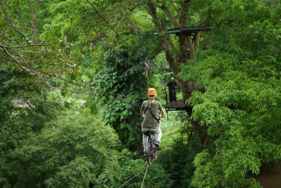 Chiang Mai: National Elephant Care, Rafting, & Ziplines Trip - Why the elephant visit feels different