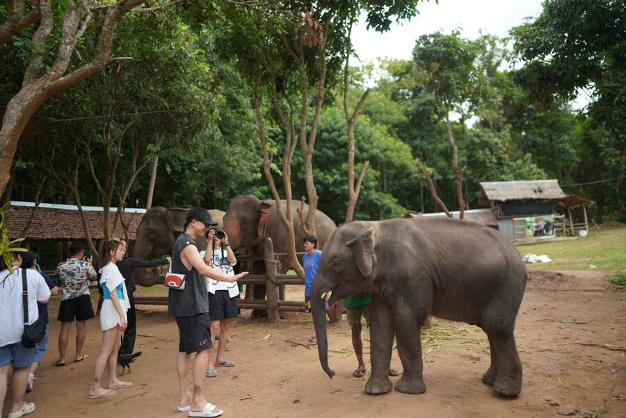 Chiang Mai: National Elephant Care, Rafting, & Ziplines Trip - Bamboo rafting on the Mae Wang River