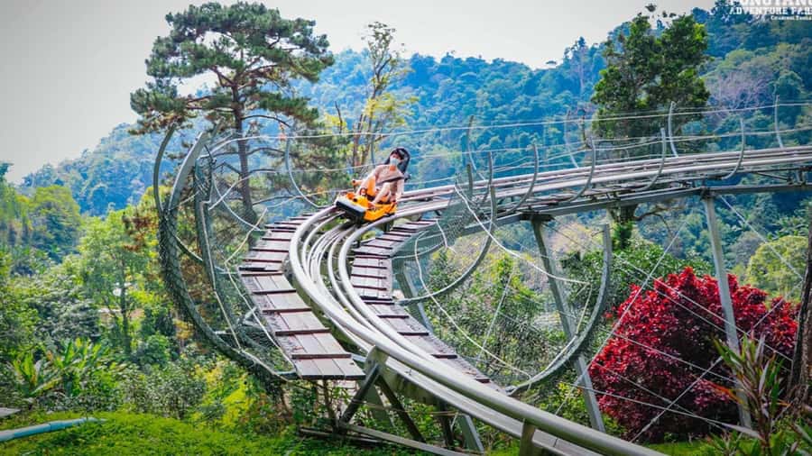 Chiang Mai: Pongyang Jungle Coaster and Zip Line Tour - Why the Jungle Coaster deserves top billing