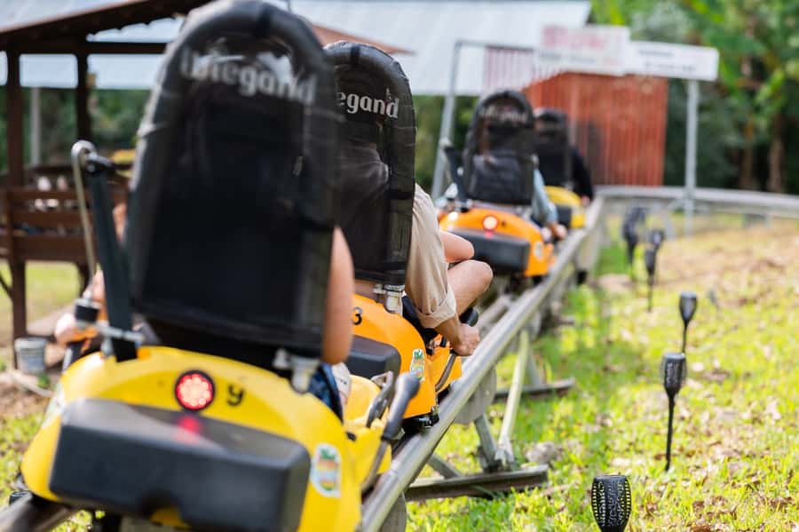 Chiang Mai: Pongyang Jungle Coaster and Zip Line Tour - How the visit usually fits together