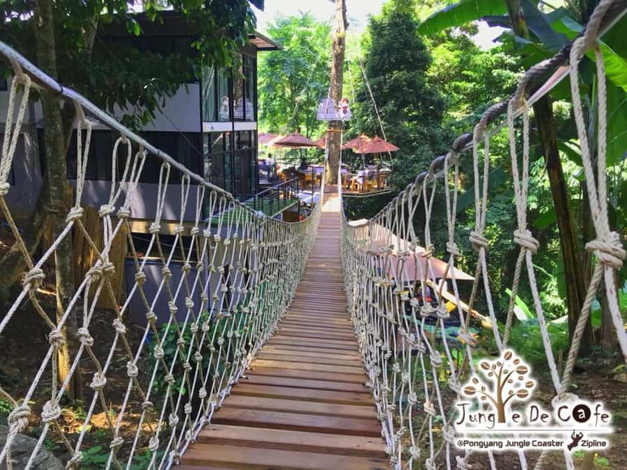 Chiang Mai: Pongyang Jungle Coaster and Zip Line Tour - A forest setting with a useful café break
