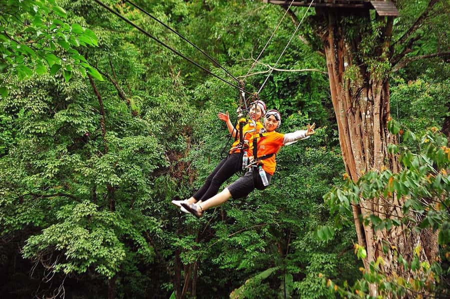 Chiang Mai: Pongyang Jungle Coaster & Zipline with Transfer - From Chiang Mai town to Pongyang’s forest