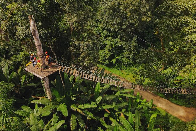 Chiang Mai Sky Hawk Zipline Adventure in the Jungle Canopy - Choosing between 18 and 33 ziplines