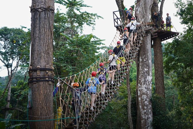 Chiang Mai Sky Hawk Zipline Adventure in the Jungle Canopy - Sky bridges and the abseil section