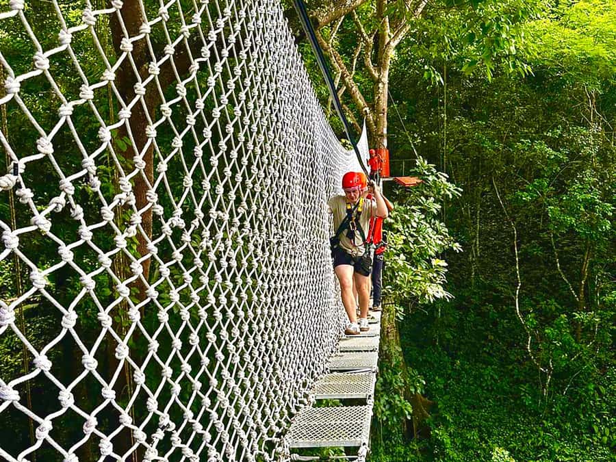 Chiang Mai: Sticky Waterfall and Zipline Adventure Day Trip - Key points to know before booking