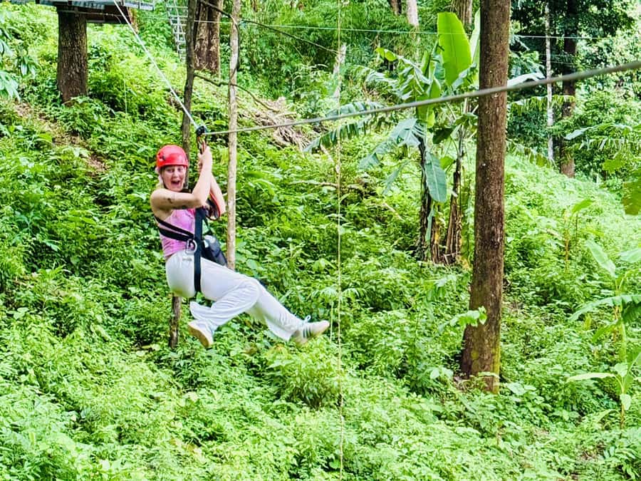 Chiang Mai: Sticky Waterfall and Zipline Adventure Day Trip - Twenty-four ziplines and 39 platforms above the trees