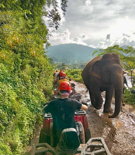 Chiang Mai: Tarzan ATV Ride Optional Zipline & Elephant Tour - The ATV ride on 225cc machines
