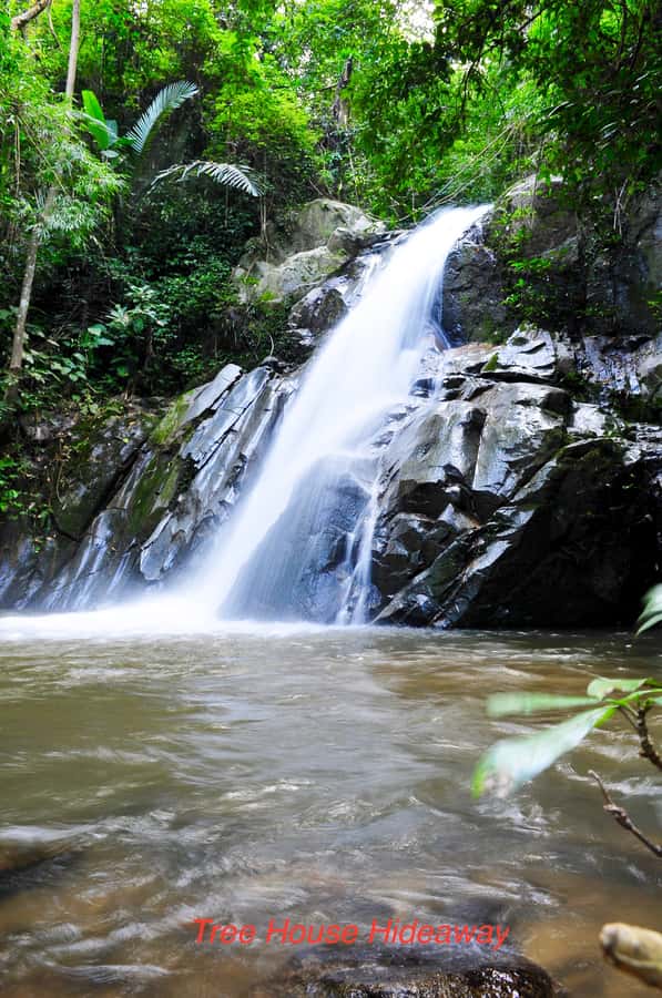 Chiang Mai: Tree House Stay & Jungle Zip-Lining - Key points to know before you book