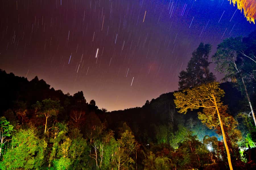 Chiang Mai: Tree House Stay & Jungle Zip-Lining - Should you book the Tree House Hideaway?