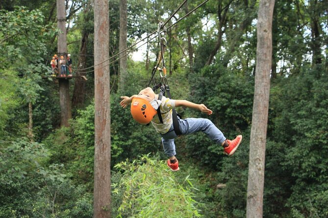 Chiang Mai Zip Line Experience - Flying Above Mae Rim’s Forest