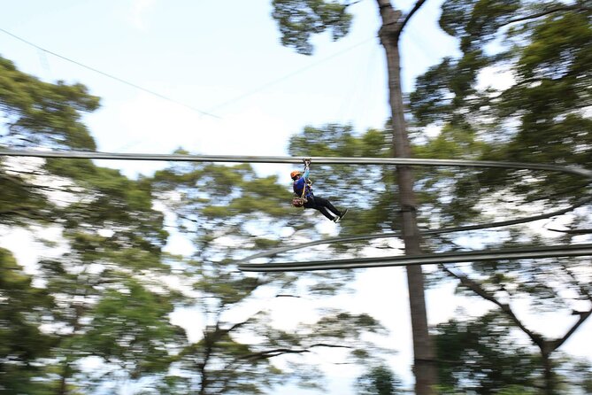 Chiang Mai Zip Line Experience - Why the Included Transport Matters