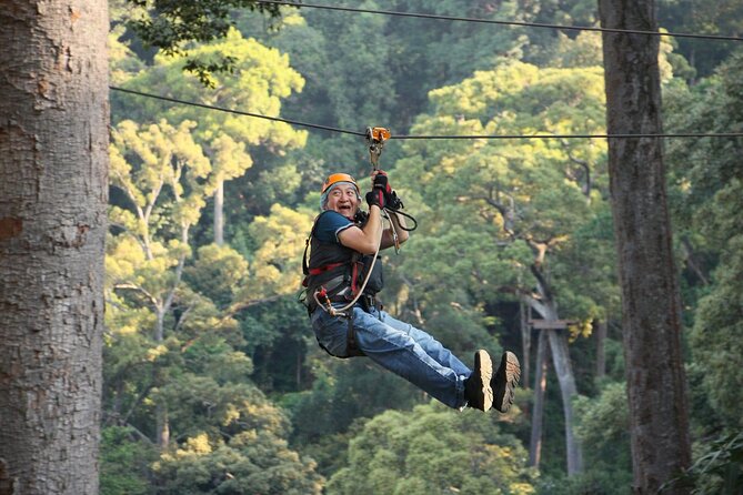 Chiang Mai Zip Line Experience - Families, Fitness, and Safety Limits
