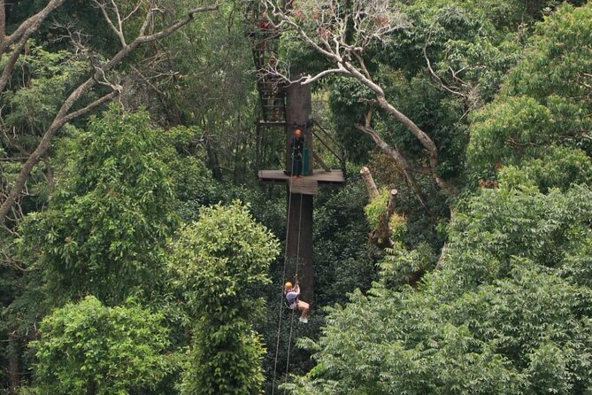 Chiang Mai Zip Line Experience - What I Like Most About This Experience