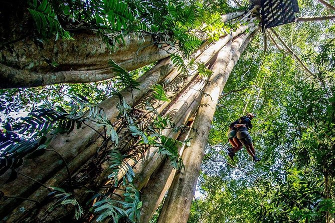 Chiang Mai Zipline White Water Rafting and Elephant Sanctuary - Is $154.88 fair for the full day?