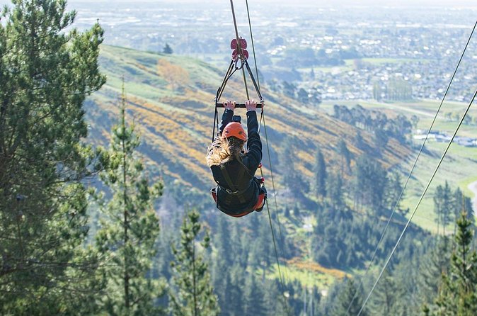 Christchurch Long Ride Zipline - Who will enjoy this most