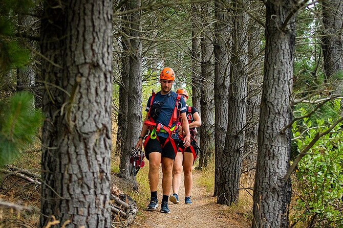 Christchurch Zipline Tour - Is the price fair at $155.14?