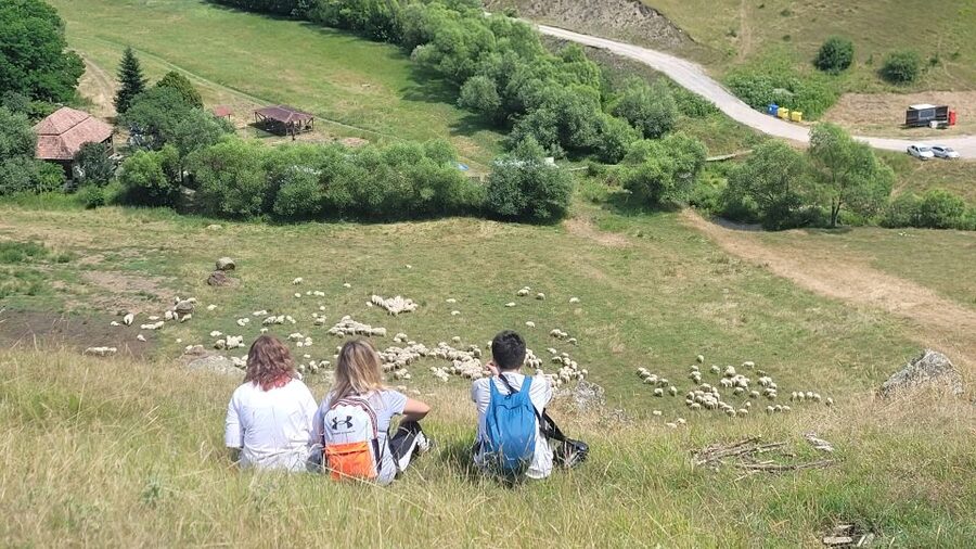 Cluj: Outdoor Activities Day Trip with Zip Line and Hike - Is the $115 price fair?