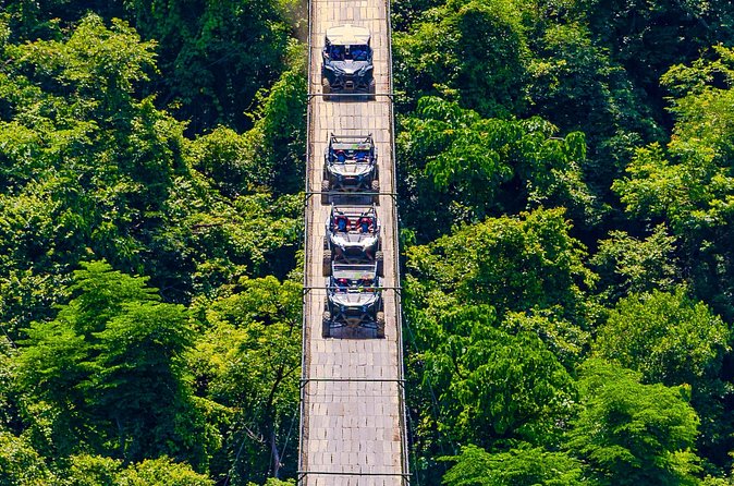 Combo RZR Zip Lines and Mule Ride Jorullo Route - Tequila tasting and what is not included