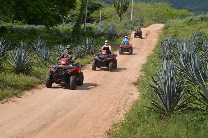 COMBO Zip lines and ATV´s at Hacienda Los Osuna - What the dry forest course feels like