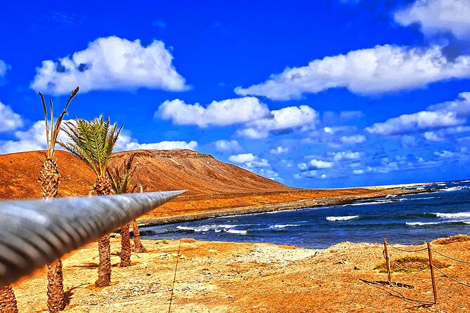 Complete Excursion and Flight on the Zipline Cabo Verde - Springs make the landing easier