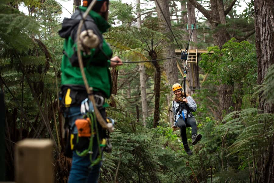 Coromandel: Guided Zipline Tour Experience - Key points at a glance