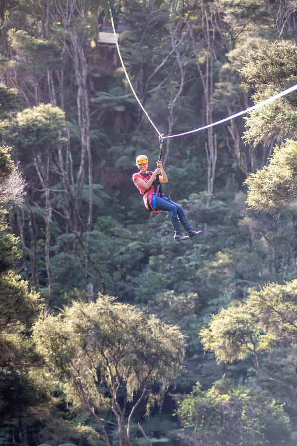 Coromandel: Guided Zipline Tour Experience - How the 150-minute schedule feels