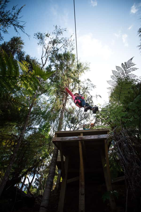 Coromandel: Guided Zipline Tour Experience - Practical booking advice