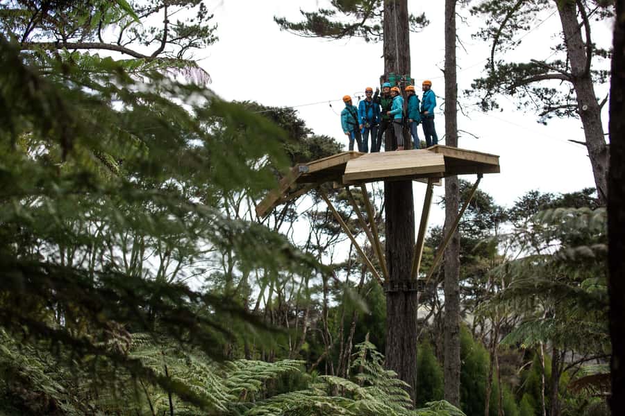 Coromandel: Guided Zipline Tour Experience - Getting fitted and meeting the guides