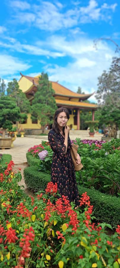 Dalat city tour by private car Combined train trip, Ziplines - Datanla Waterfall: coaster or zipline