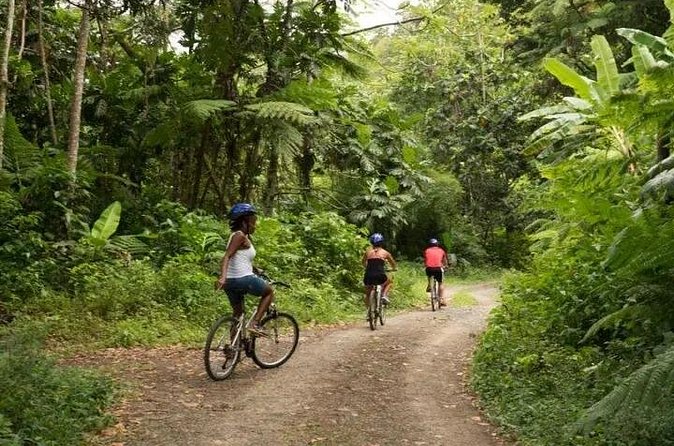 Day of Adventure - Zipline and Hike or Bike - Drinks, timing, and what the price covers