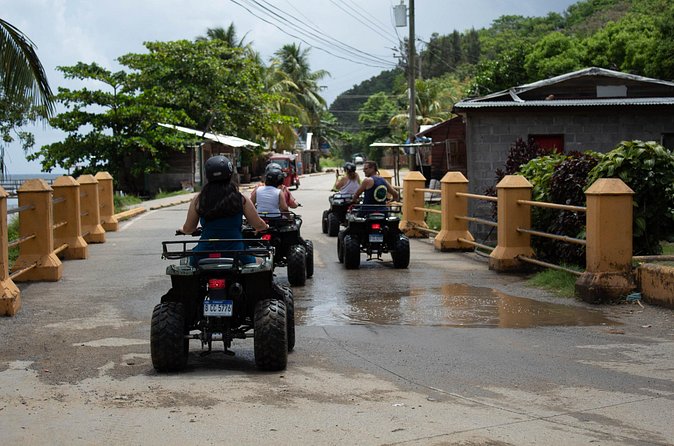 Day Tour in Roatan: ATV, Sloths, Monkeys and Zipline - Cruise-day planning is the biggest concern