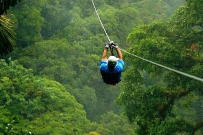 Day Trip to Kereita Forest and Ziplining - The carbon dioxide spring at Carbacid Forest Gate