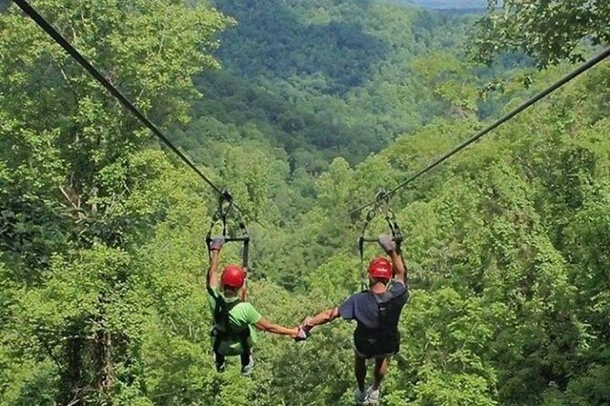 Day Trip to Kereita Forest and Ziplining - A place with a difficult past