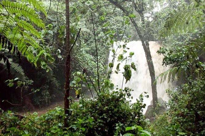Day Trip to Kereita Forest and Ziplining - Guides, transport, and the private format