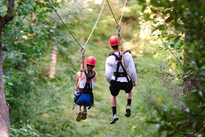 Day Trip to Kereita Forest and Ziplining - Three hours toward Elephant Pool and Kereita Waterfall