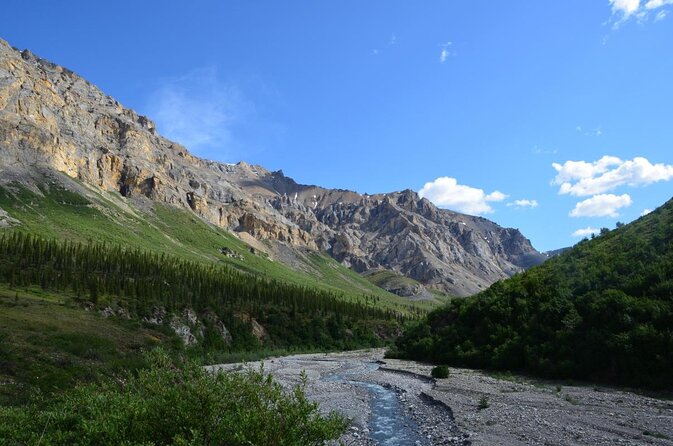 Denali Park Zipline Adventure - Key points at a glance