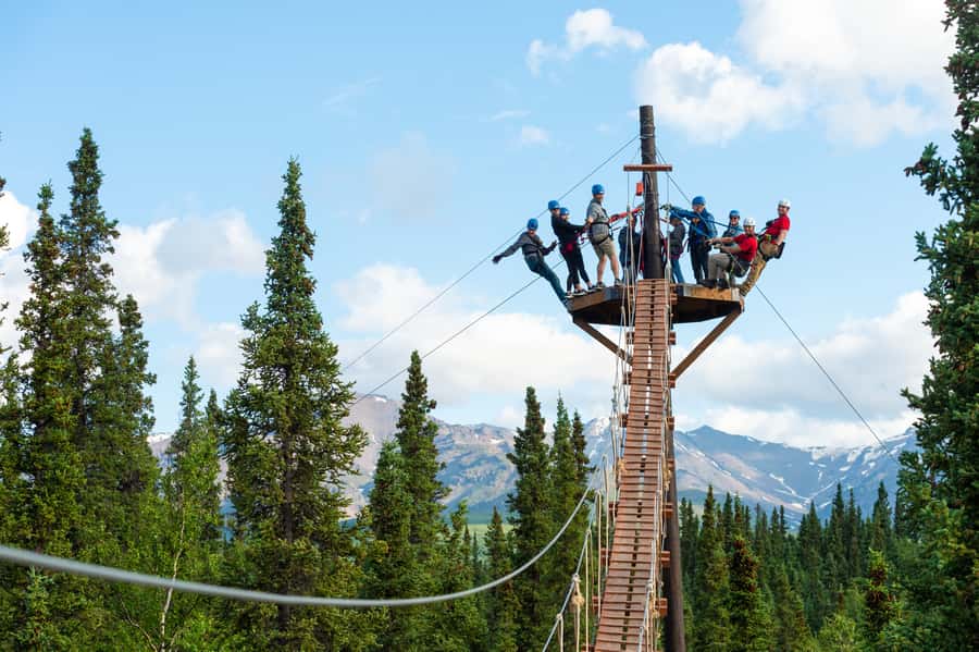 Denali Park Zipline Adventure - Should you book the Denali Park Zipline Adventure?