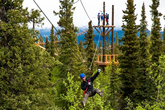 Denali Park Zipline Adventure - A three-hour Denali adventure with real variety