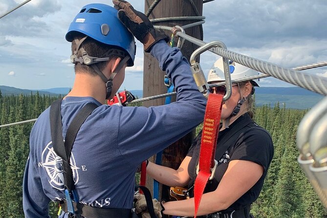 Denali Park Zipline Adventure - Seven ziplines, six bridges, and one high point