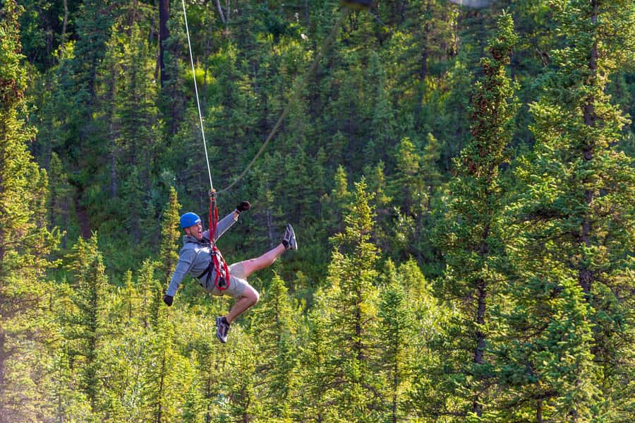 Denali Park Zipline Adventure - The strongest part is the guide support